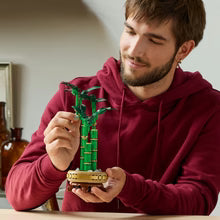 LEGO® Botanicals - 10344 Lucky Bamboo