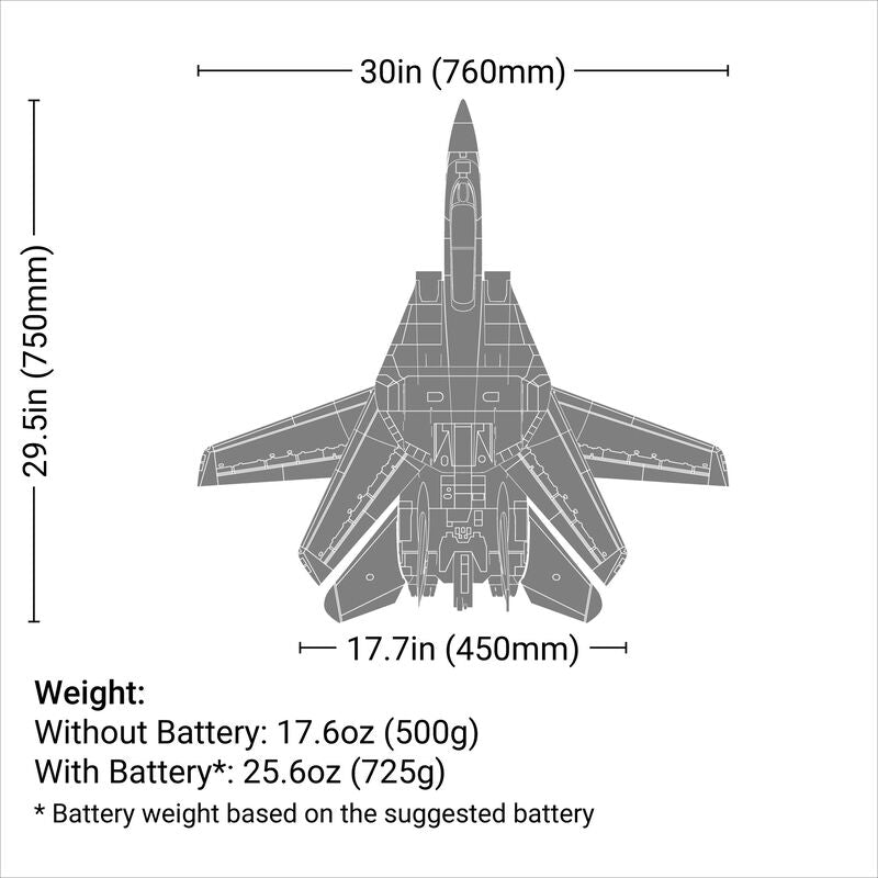 F-14 Tomcat Twin 40mm EDF BNF Basic