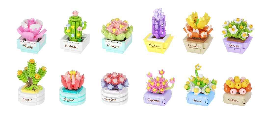 Koco Lovely Succulents - collect and combine all 12!