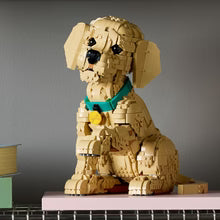 LEGO® Icons - 11384 Golden Retriever Puppy