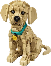 LEGO® Icons - 11384 Golden Retriever Puppy