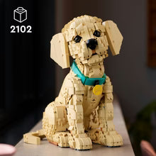 LEGO® Icons - 11384 Golden Retriever Puppy
