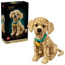 LEGO® Icons - 11384 Golden Retriever Puppy