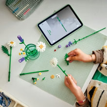 LEGO® Botanicals - 11508 - Daisies