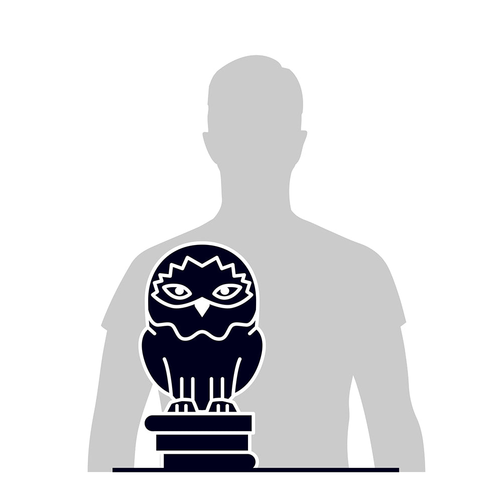 4D Build - Harry Potter - Hedwige