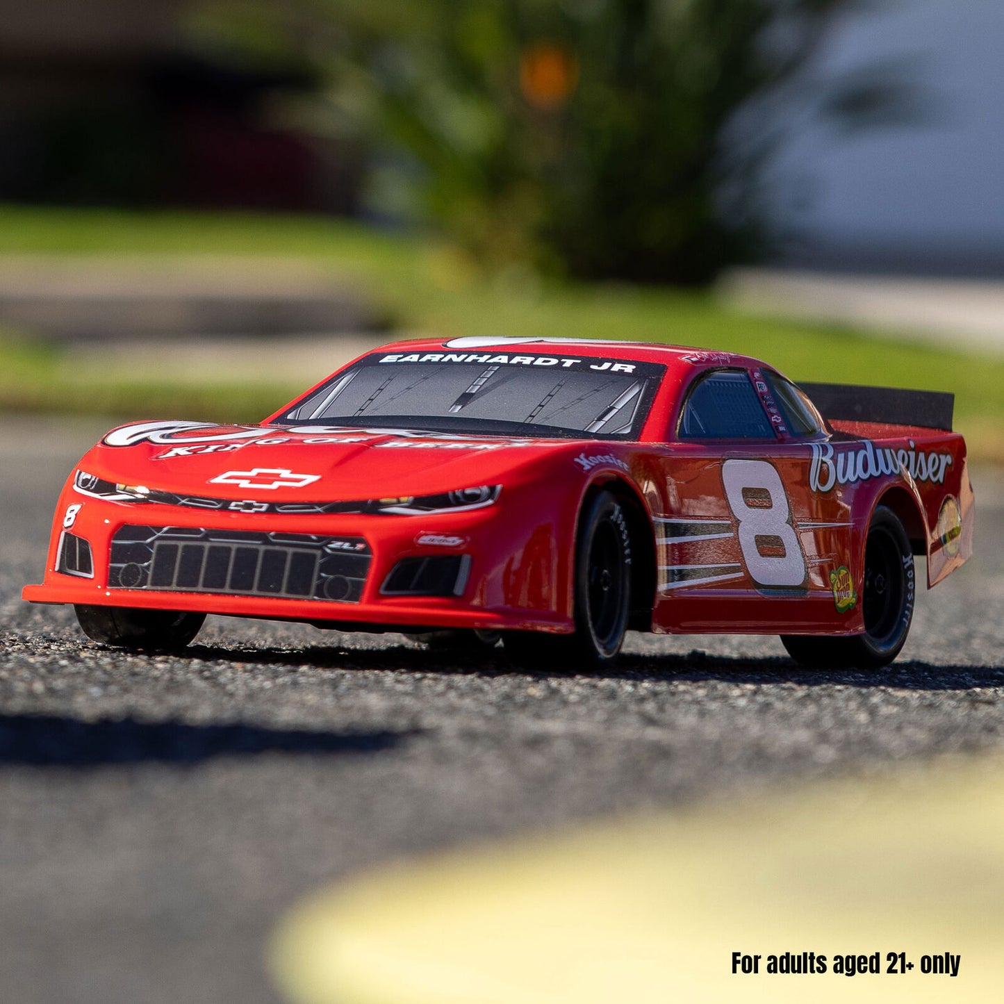 Losi 1/12 ALM 2S AWD On-Road Race Car (B&C Included)