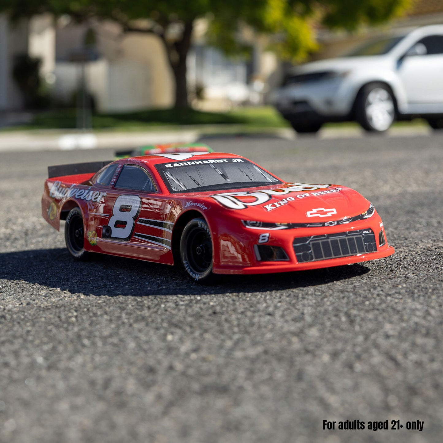 Losi 1/12 ALM 2S AWD On-Road Race Car (B&C Included)