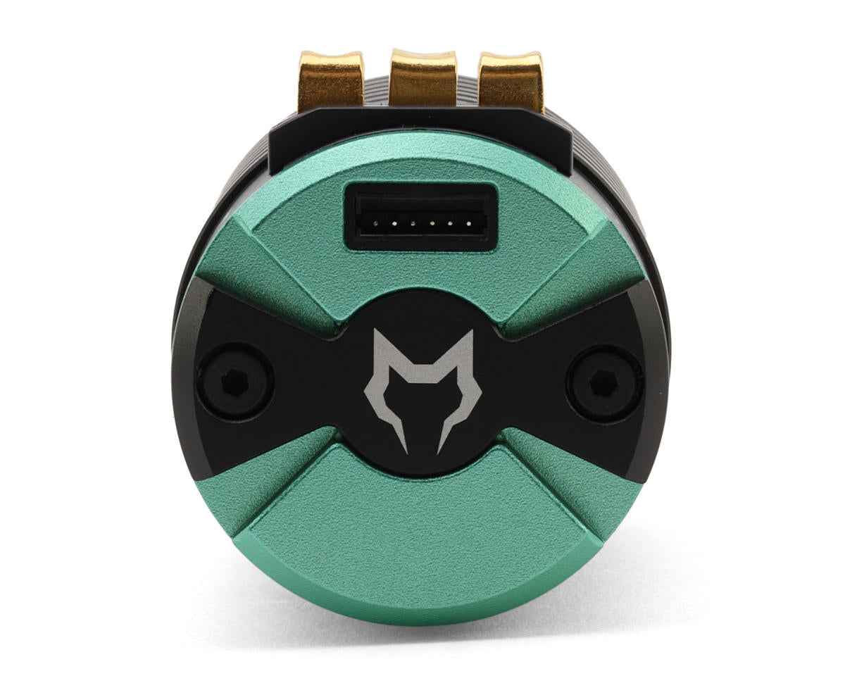 Cayote Crest 4268 1/8 Sensored Brushless Motor (1900kV) (IFMAR)
