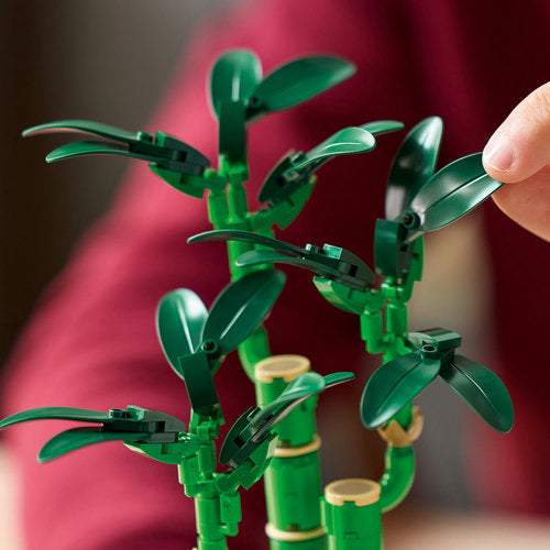 LEGO® Botanicals - 10344 Lucky Bamboo