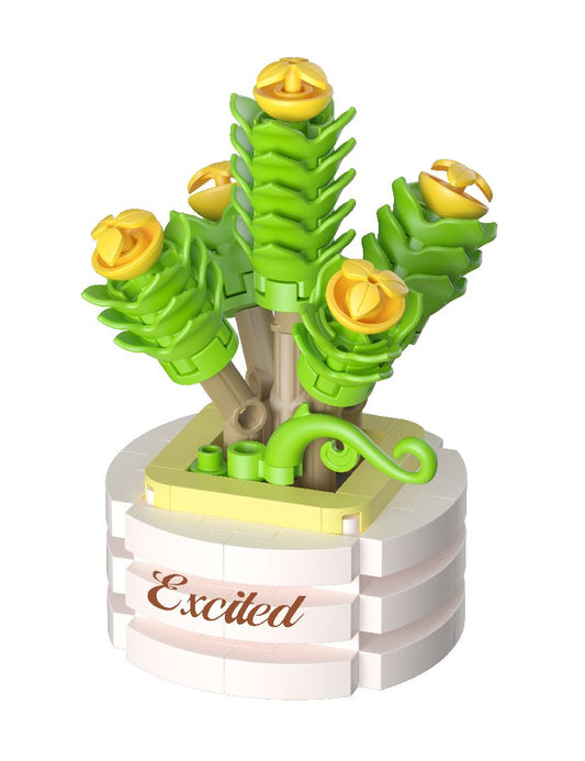 Koco Lovely Succulents - collect and combine all 12!